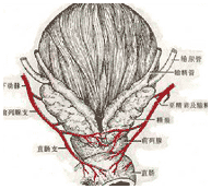 子宫内膜炎