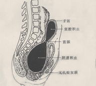 闭经